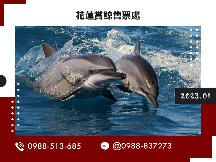打卡攻略夯一整年！2023旅遊攻略繼續衝