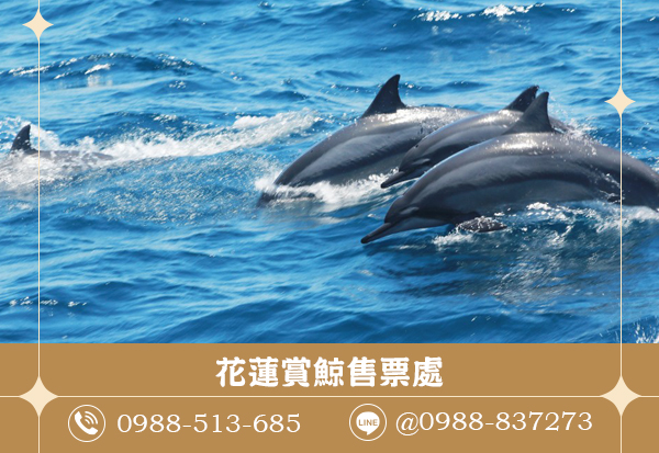 低門檻秘境，帶你發掘寶藏地點