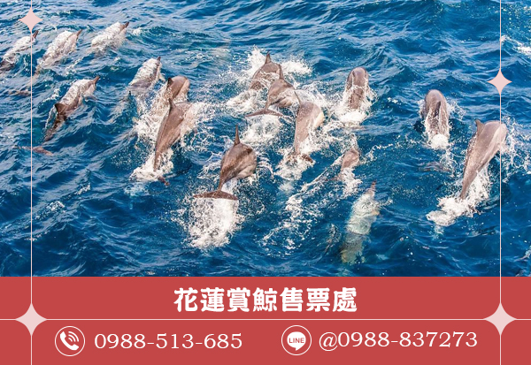 沒去過別說懂玩！特色美景狂拍不停